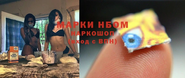 стаф Волосово
