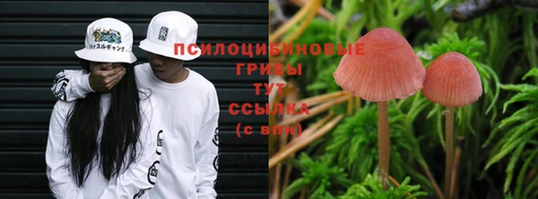 стаф Волосово