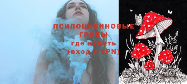 2c-b Верхний Тагил