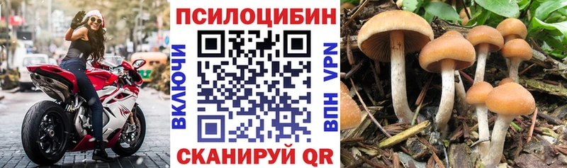 Галлюциногенные грибы Cubensis  Выкса 